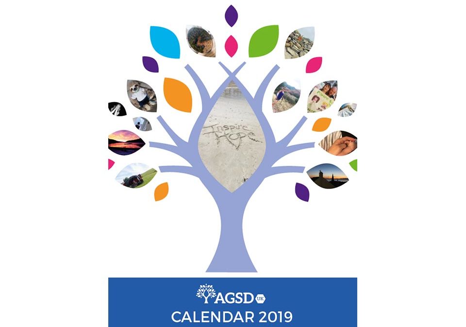 2019 calendar – great gift and raise funds