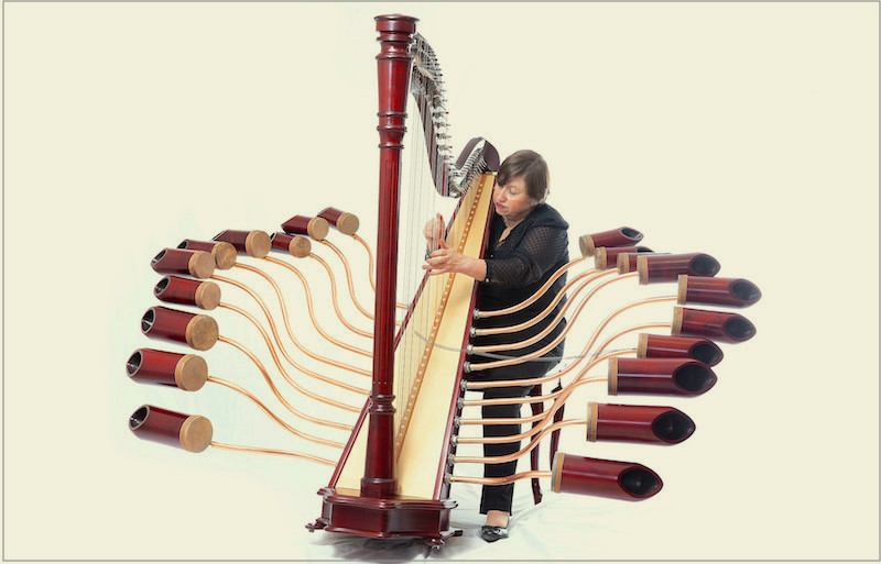 Debut performance of new harp by GSD5 patient